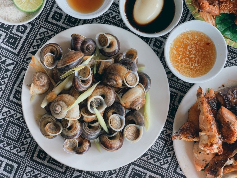Mountain snails from Ninh Binh